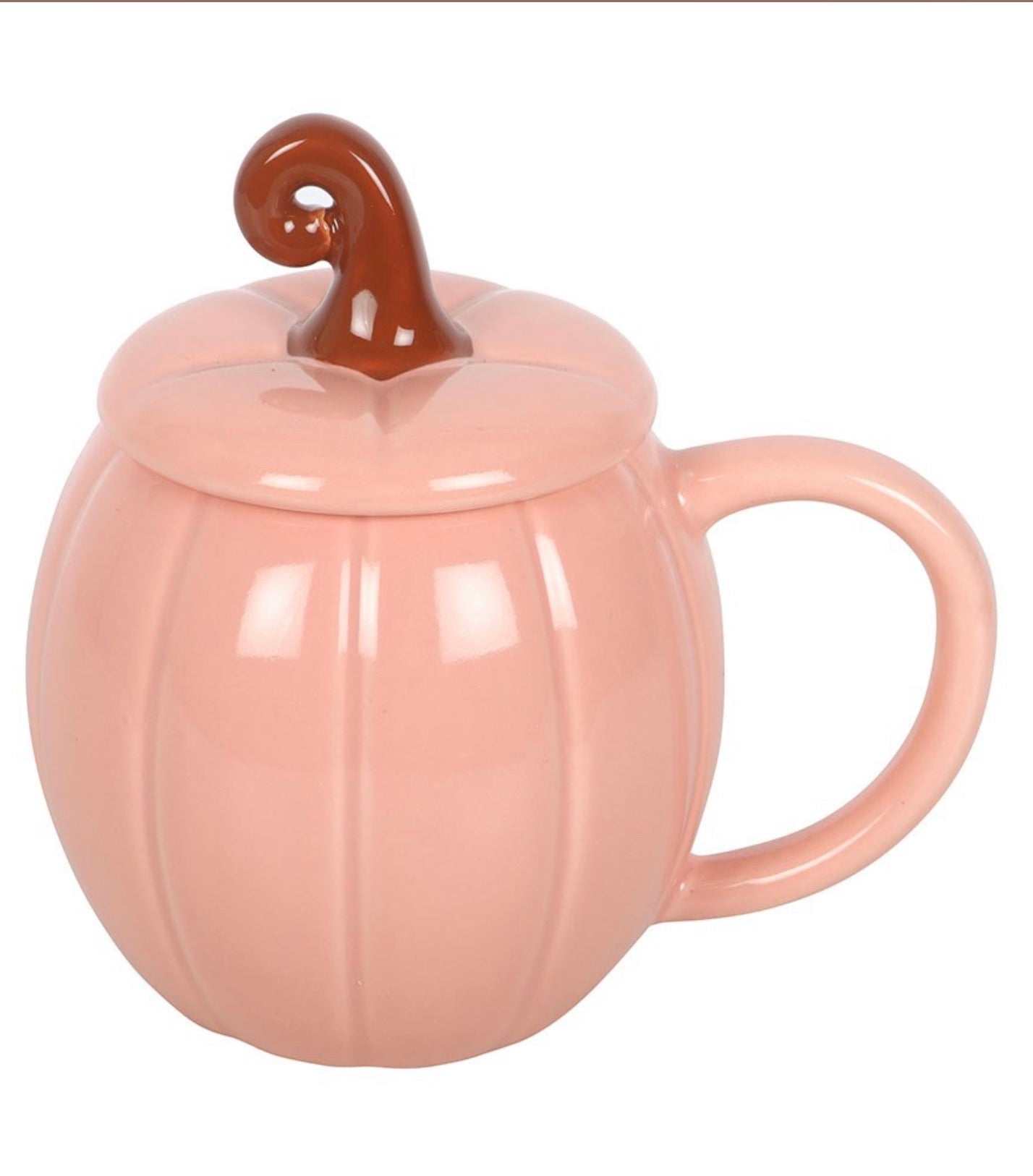 Pretty Pink Curly Pumpkin Ceramic Lidded Mug