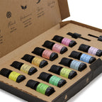 Aromatherapy Essential Oil Set Starter Pack