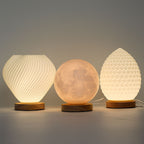 New Wave Shell Twisted Lamp - USB Powered with 3 Settings