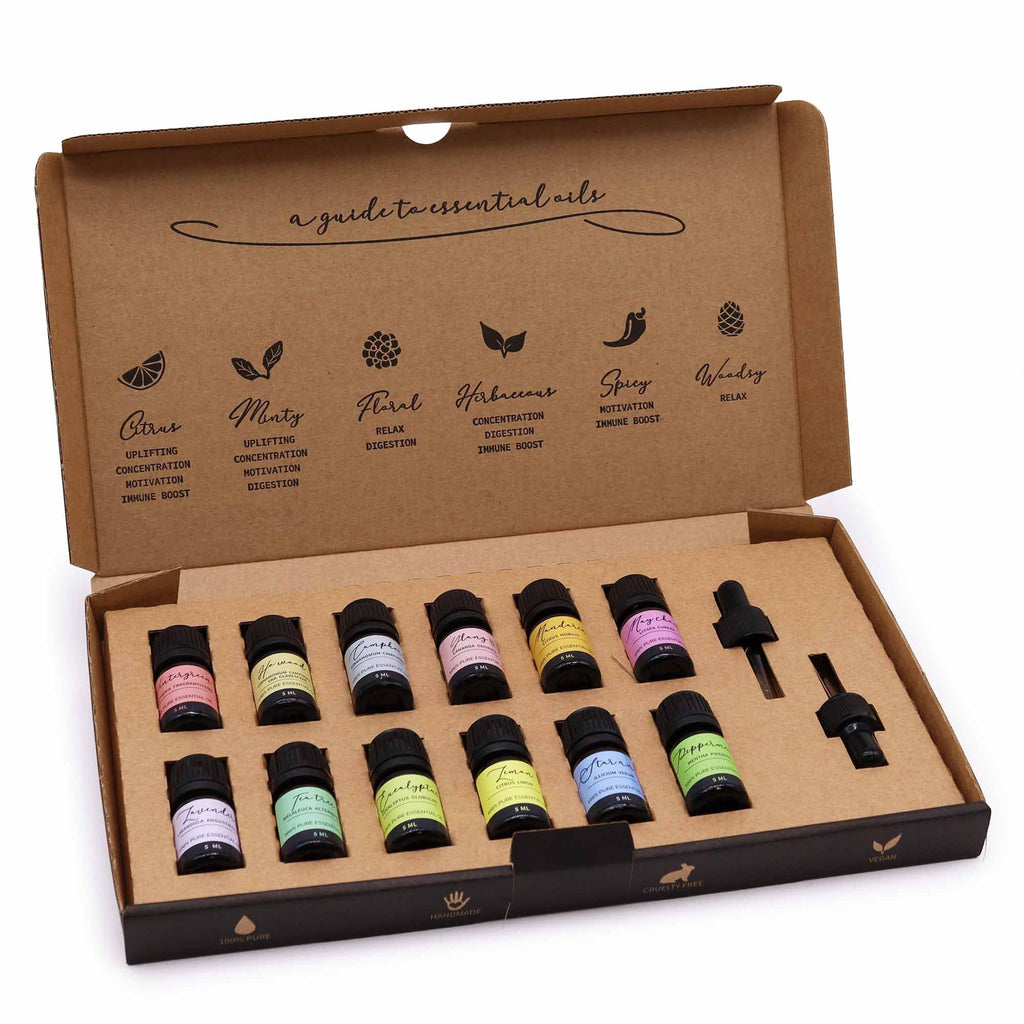 Aromatherapy Essential Oil Set Starter Pack
